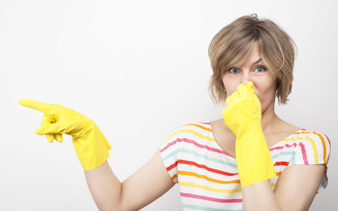 Using Vinegar to Mask Skunk Odor: IT DOES NOT WORK!